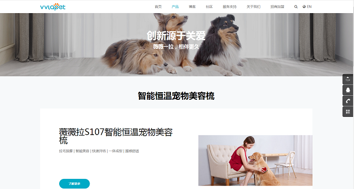 薇薇拉網站建設